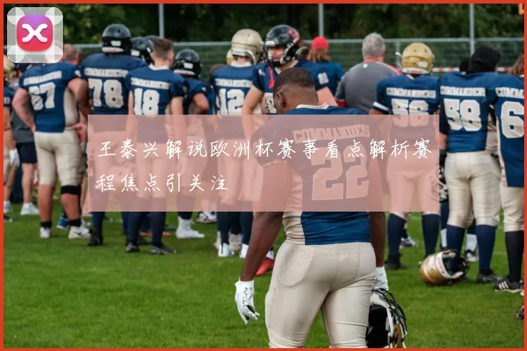 王泰兴解说欧洲杯赛事看点解析赛程焦点引关注