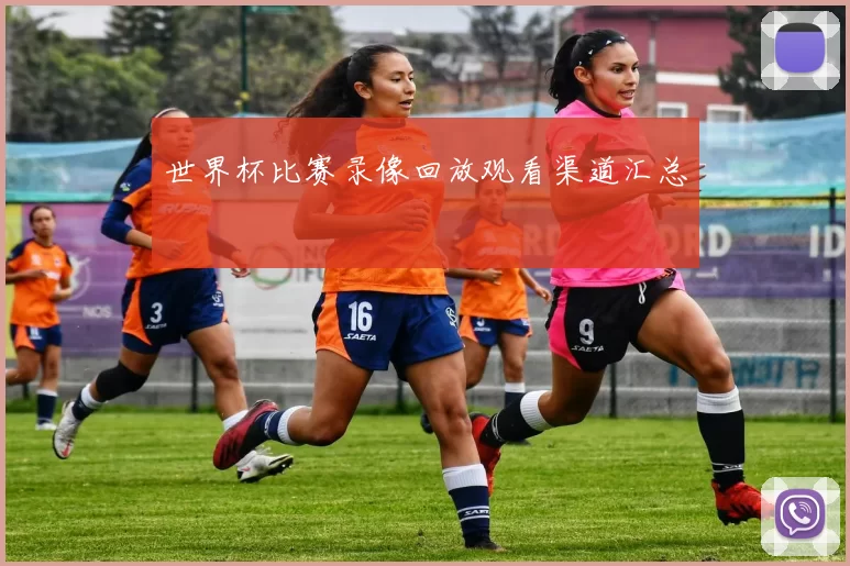 世界杯比赛录像回放观看渠道汇总