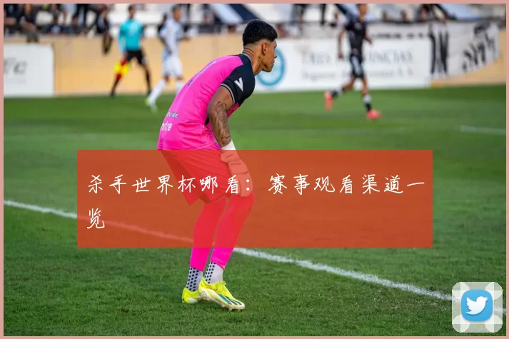 杀手世界杯哪看：赛事观看渠道一览