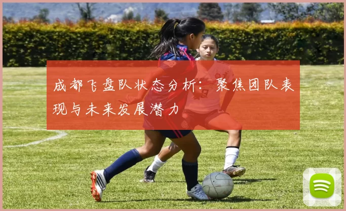 成都飞盘队状态分析：聚焦团队表现与未来发展潜力