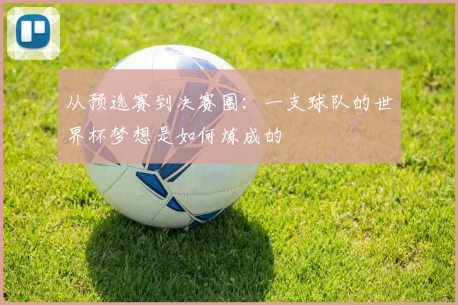 从预选赛到决赛圈：一支球队的世界杯梦想是如何炼成的