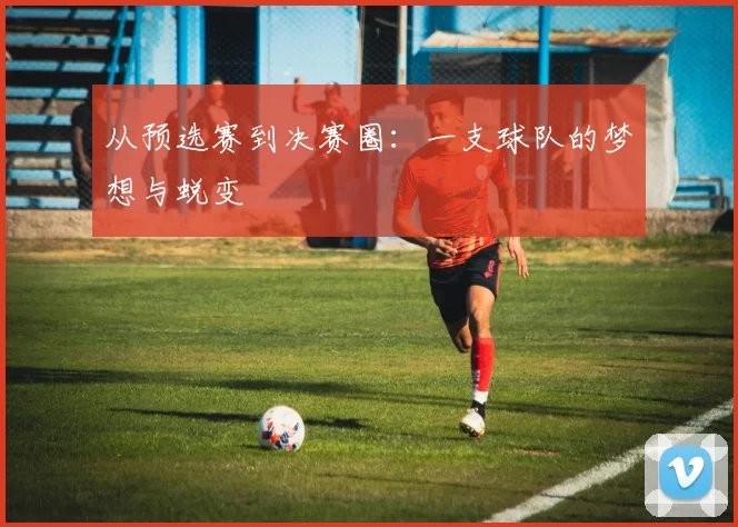 从预选赛到决赛圈：一支球队的梦想与蜕变
