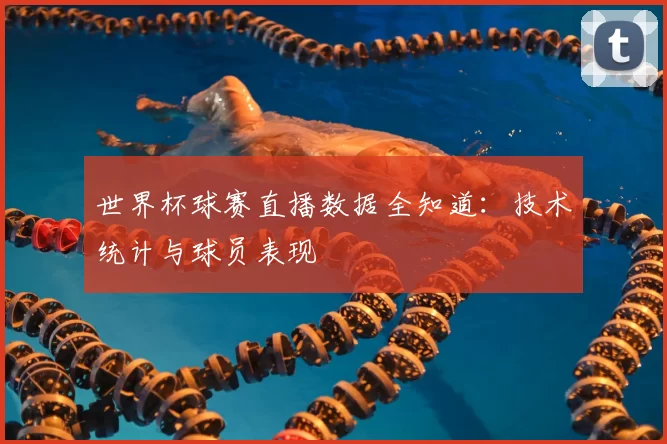 世界杯球赛直播数据全知道：技术统计与球员表现